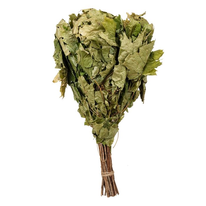Finnischer Ahorn-Quast "Vihta" main product photo