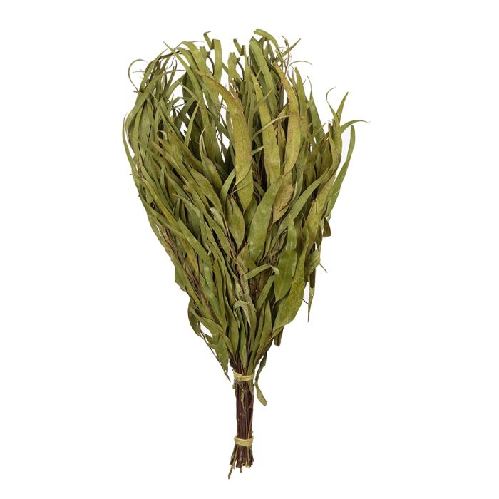 Finnischer Eukalyptus-Quast "Vihta" main product photo