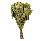 Finnischer Ahornquast "Vihta" aus frischen Zweigen dichtbelaubter Bäume